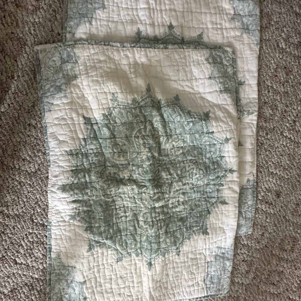 Set of 2 Pottery Barn Green Medallion Light Sage Green Quilted Pillow Shams